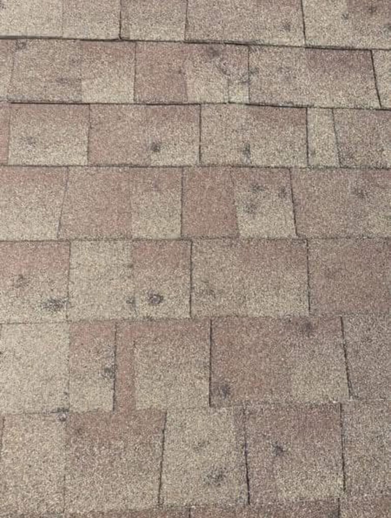 Hail Damages